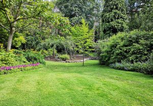 Optimiser l'expérience du jardin à Burnhaupt-le-Haut